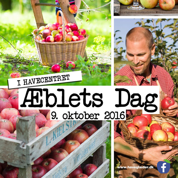 Æblets Dag 2016 plakat